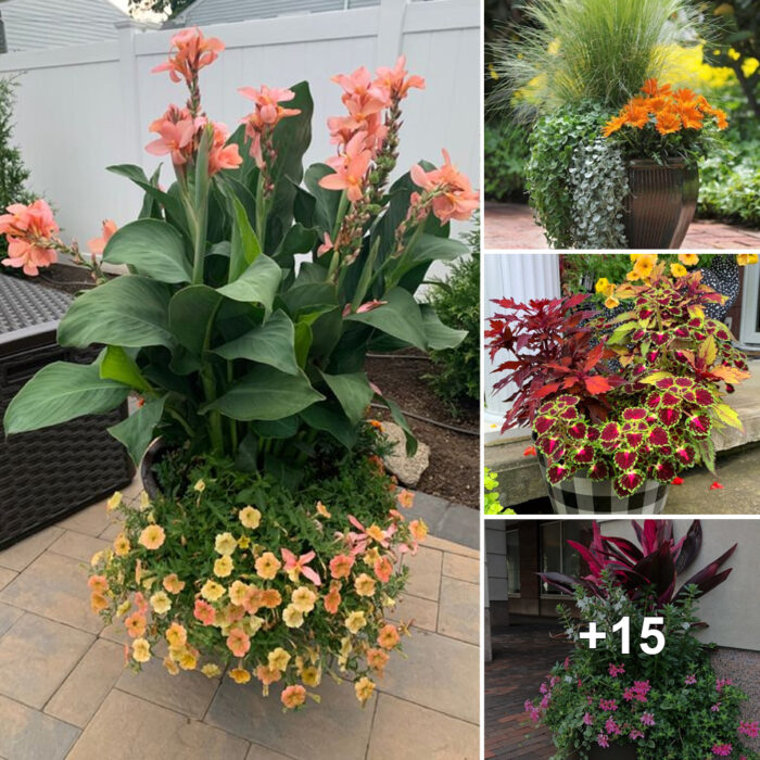 Charming 24+ planter gardening ideas and pot designs
